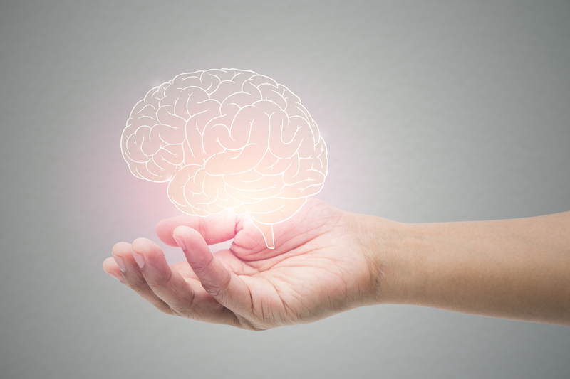 Man holding brain illustration against gray wall background.